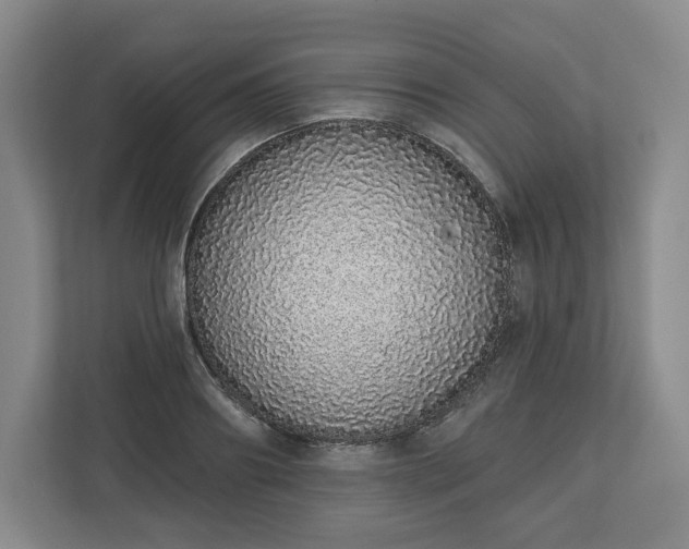 X0000112720890200908271405