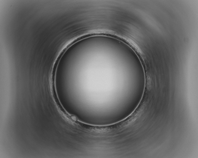 X0000112720895200908271405