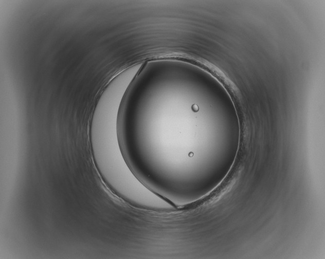 X0000112720897200908271405