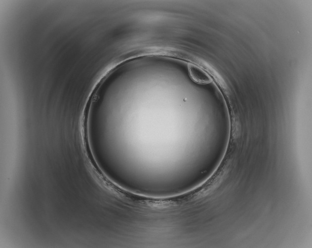 X0000112720899200908271404