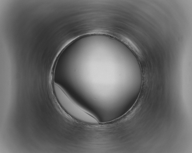 X0000112720900200908271404