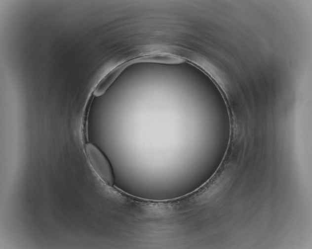 X0000112720901200908271404