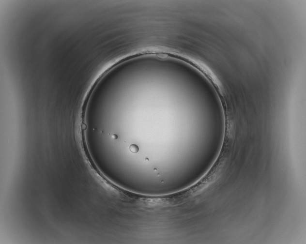 X0000112720903200908271404