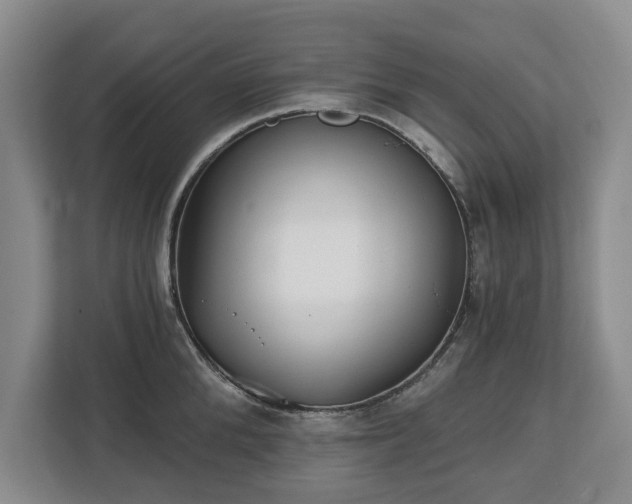 X0000112720904200908271404