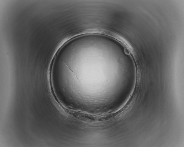 X0000112720907200908271404