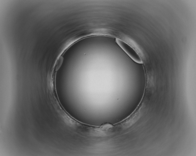 X0000112720908200908271404