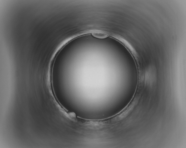 X0000112720910200908271404