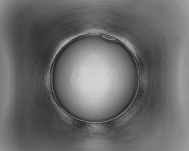 X0000112720911200908271404