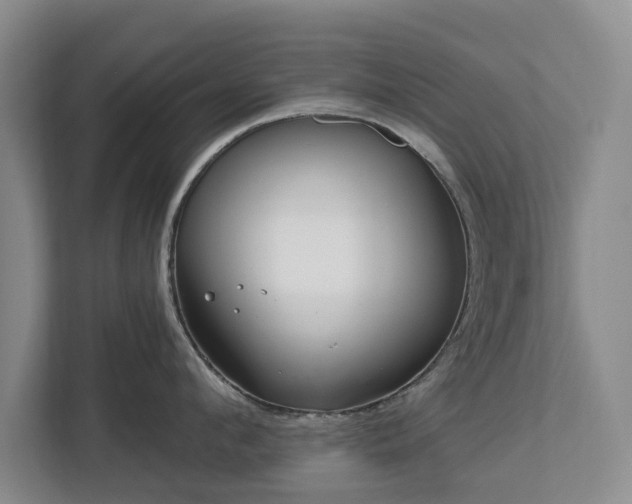 X0000112720912200908271404