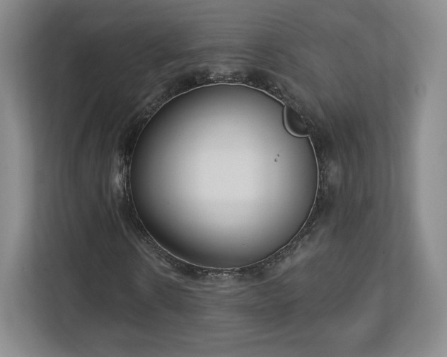 X0000112720914200908271404