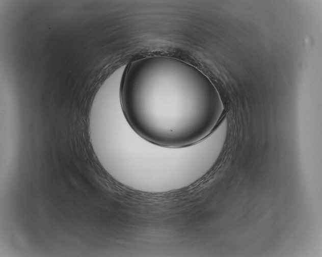 X0000112720916200908271404