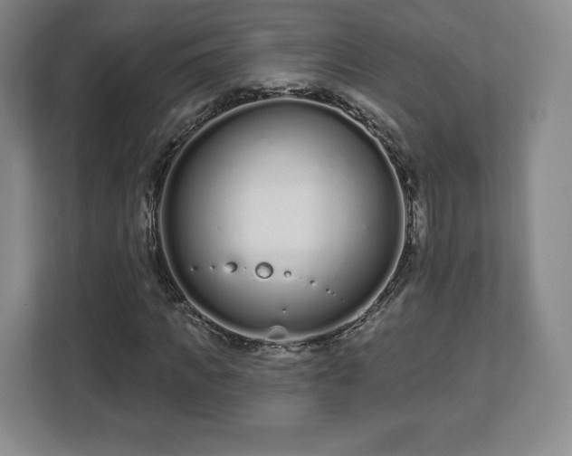 X0000112720917200908271404