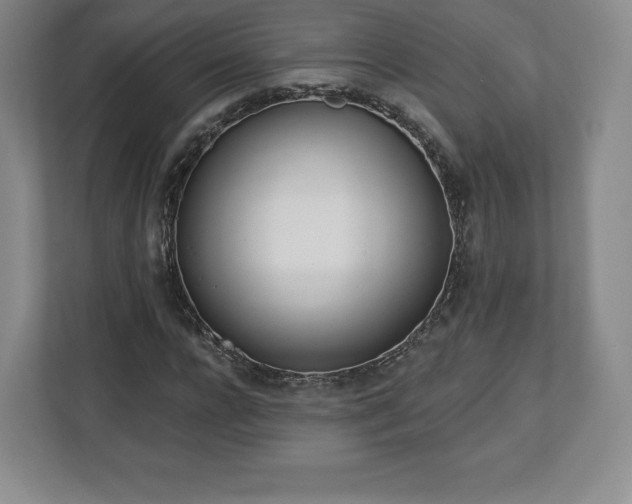 X0000112720920200908271404