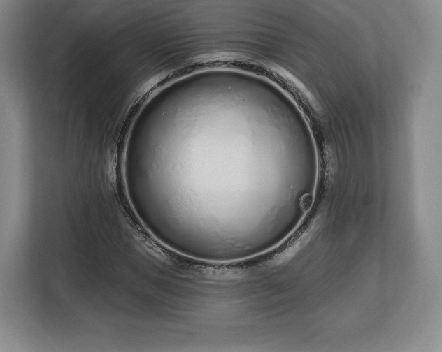 X0000112720921200908271404