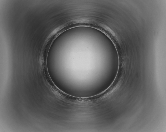 X0000112720922200908271404