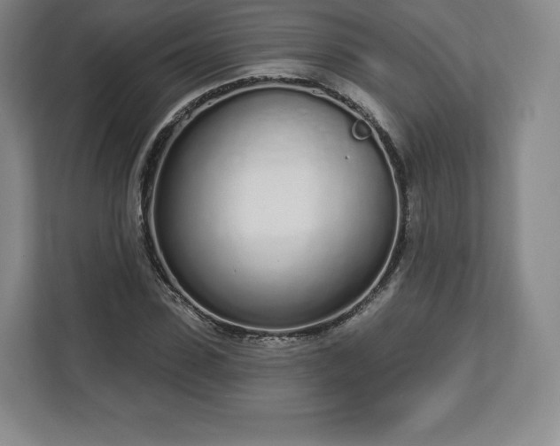 X0000112720923200908271404