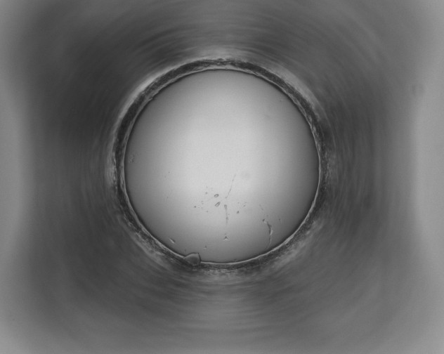 X0000112720927200908271404