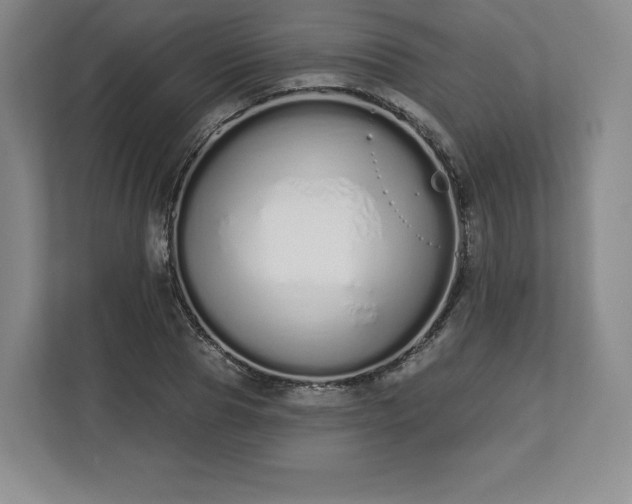 X0000112720929200908271404