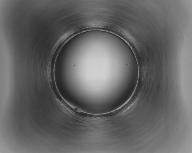 X0000112720930200908271404