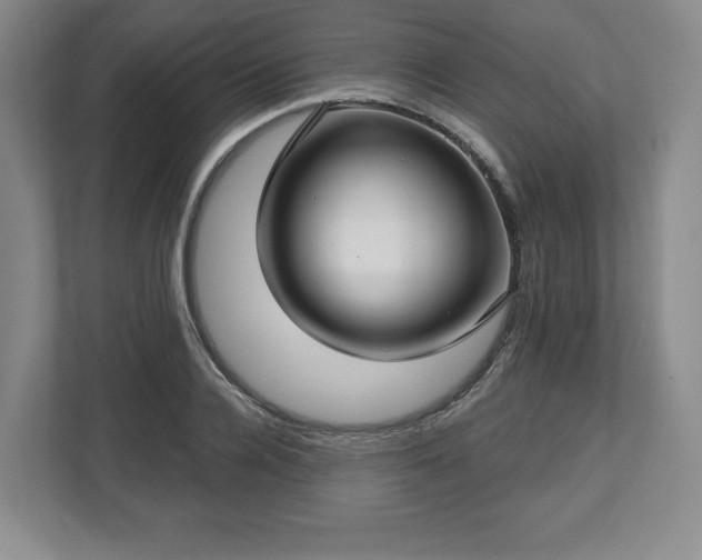 X0000112720936200908271404