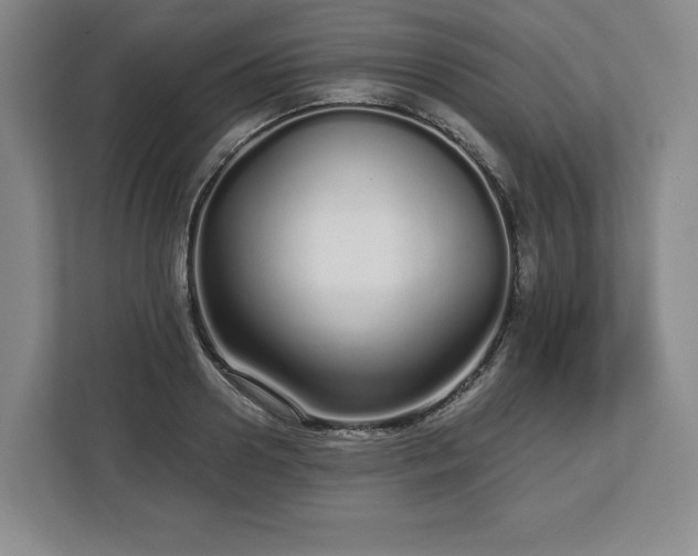 X0000112720938200908271404