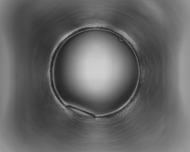 X0000112720943200908271404