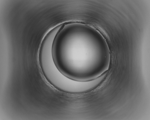 X0000112720944200908271404