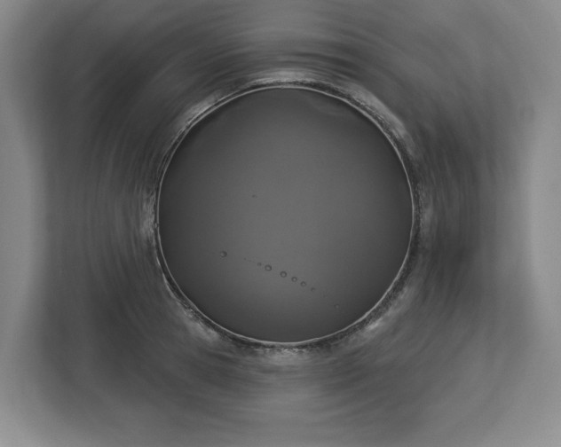 X0000112720945200908271404