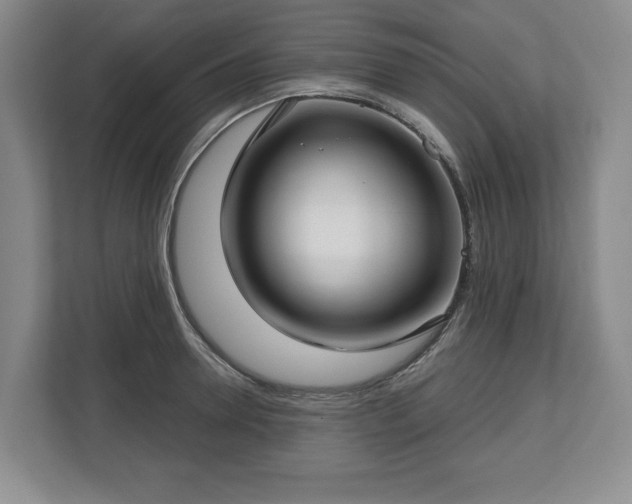 X0000112720946200908271404