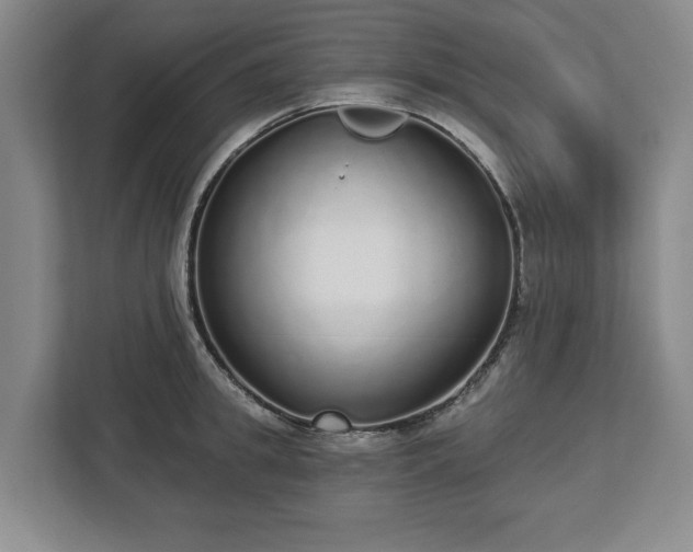 X0000112720949200908271404