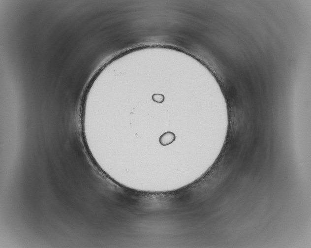 X0000112720950200908271404