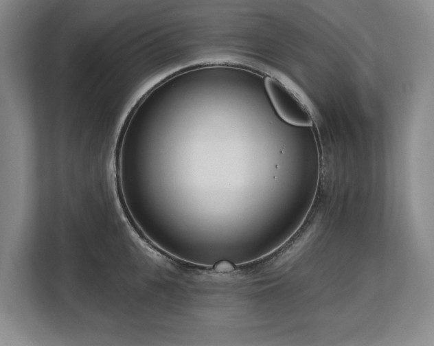 X0000112720951200908271404