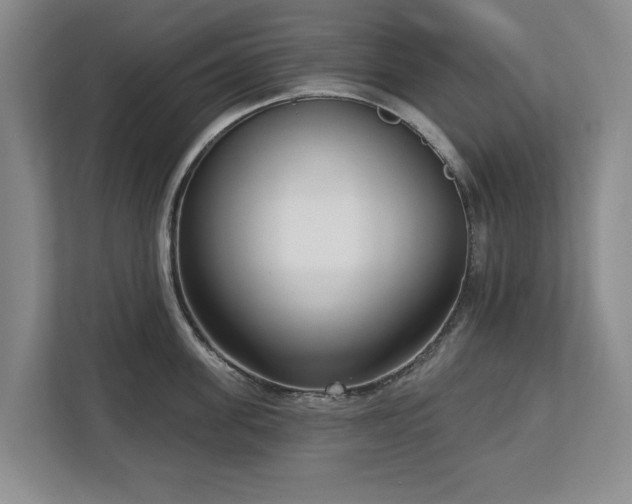 X0000112720955200908271404