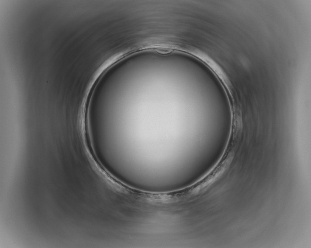 X0000112720957200908271404