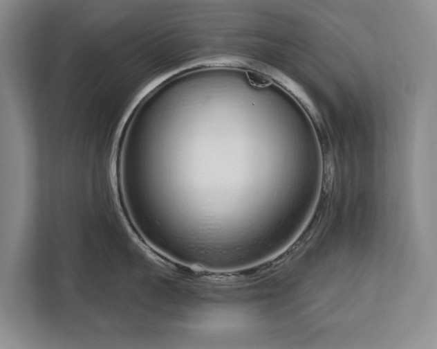 X0000112720959200908271404