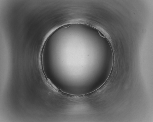 X0000112720960200908271404