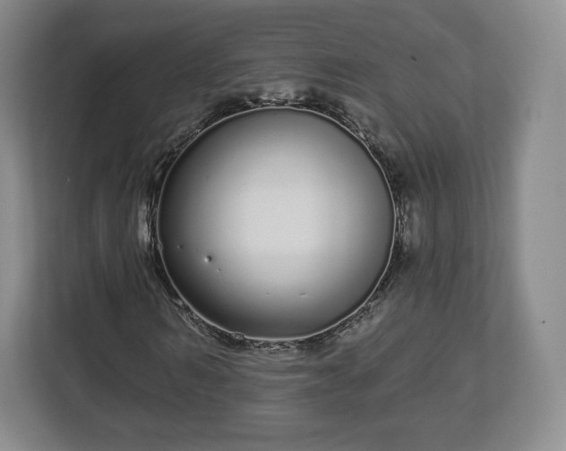 X0000112720962200908271404