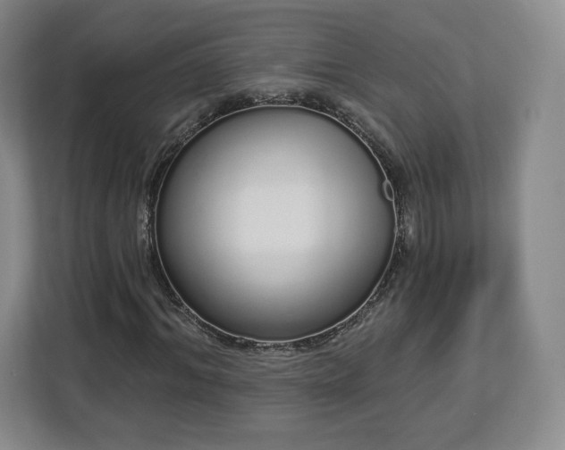 X0000112720964200908271404