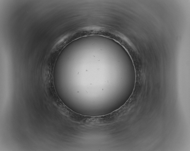 X0000112720967200908271404