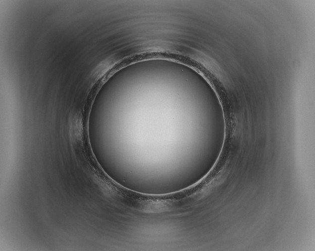 X0000112720969200908271403