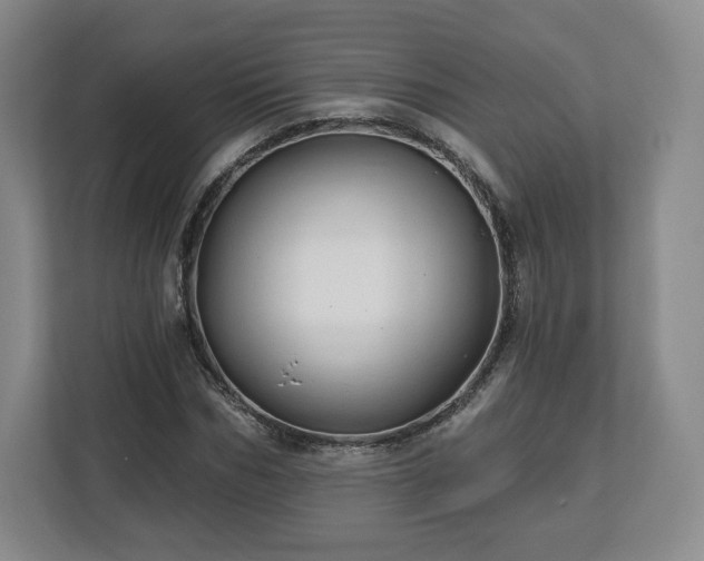 X0000112720970200908271403