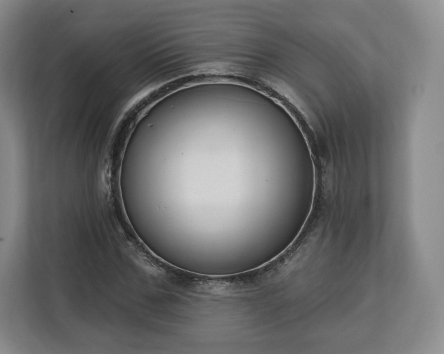 X0000112720971200908271403