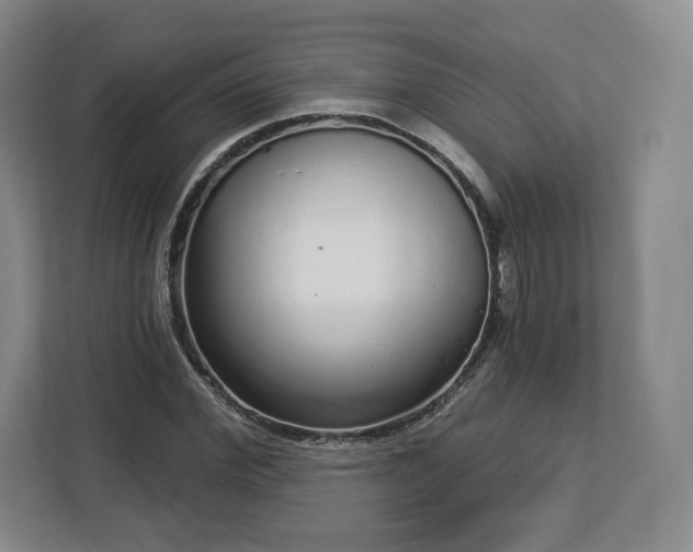 X0000112720972200908271403