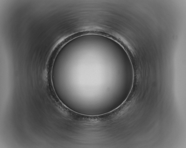 X0000112720975200908271403