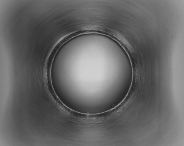 X0000112720976200908271403