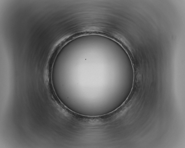 X0000112720979200908271403