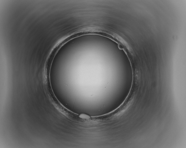 X0000112720981200908271403