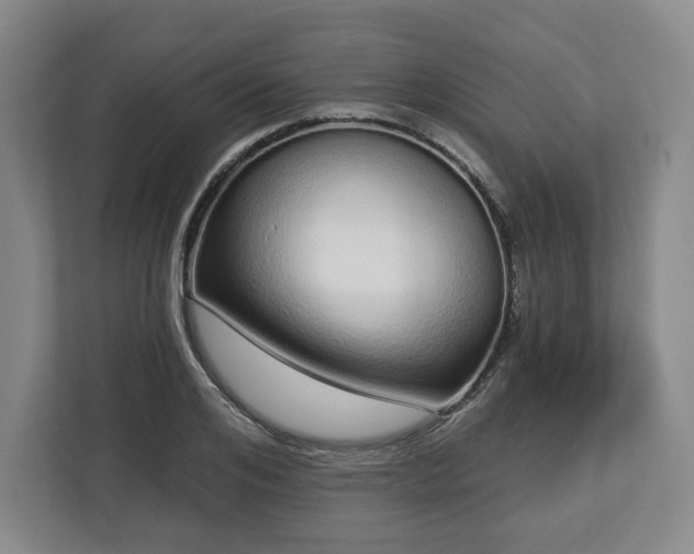 X0000112720984200908271403