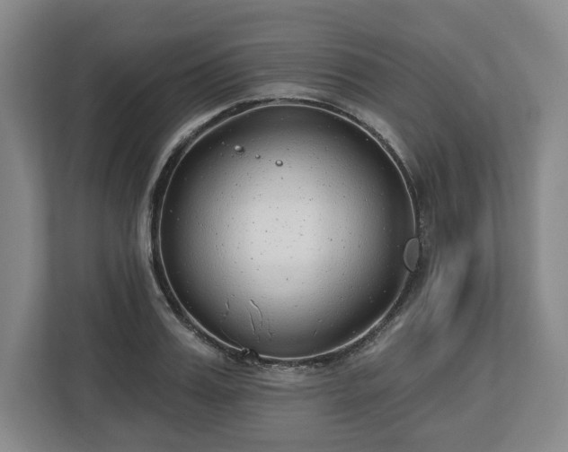 X0000112720987200908271403