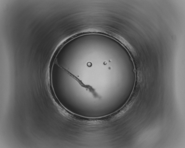 X0000112720988200908271403